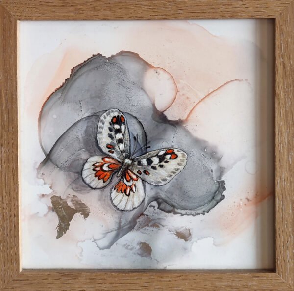 mariposa blanca