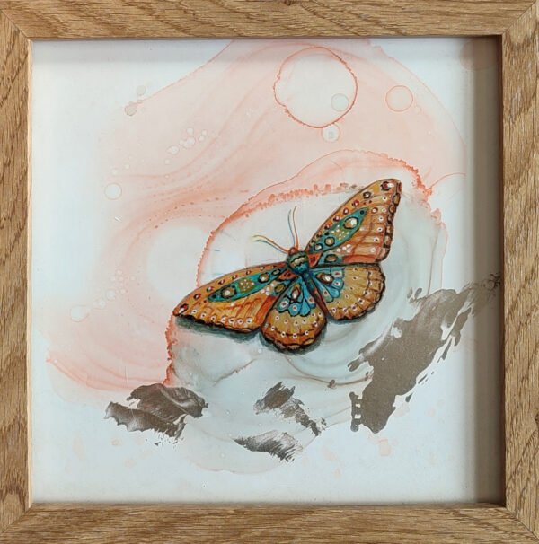 mariposa naranja